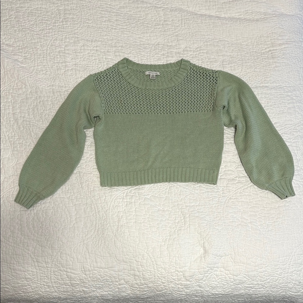 American Eagle Outfitters Light Green Crew Neck Sweater with Relaxed Fit Used